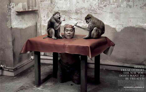 Against Animal Cruelty
