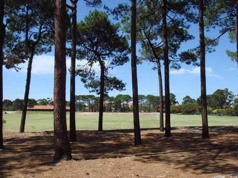 curtin_university_park_football.JPG