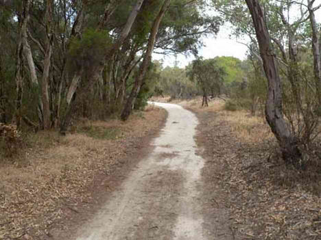 journey_yellagonga_regional_park_perth.JPG
