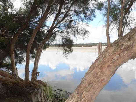 journey_yellagonga_regional_park_perth2.JPG