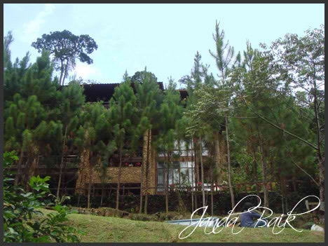 tanarimba janda baik wedding