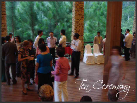 tanarimba janda baik wedding