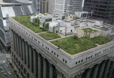 Going Green - Chicago City Hall