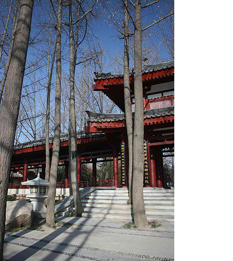 chinese architecture contemporary city xian