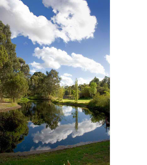 backyard outback perth scene park lake australia