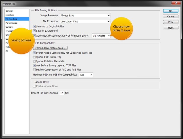 adobe photoshop cs3 raw file support