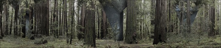 Redwood Single Pole House