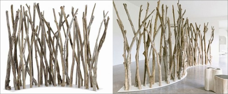 tree branch divider wood