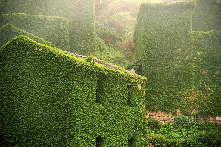 Abandoned Chinese Village On Goqui Island Swallowed By Mother Nature