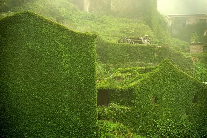 Abandoned Chinese Village On Goqui Island Swallowed By Mother Nature